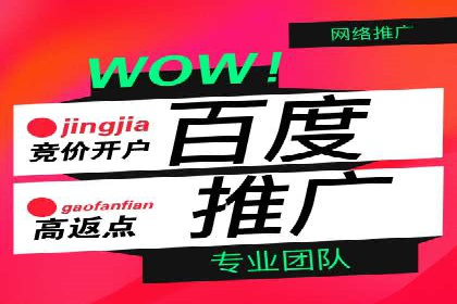 网络营销新篇章：竞价推广案例分析