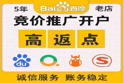 落地页在SEM优化中的重要性及成功案例